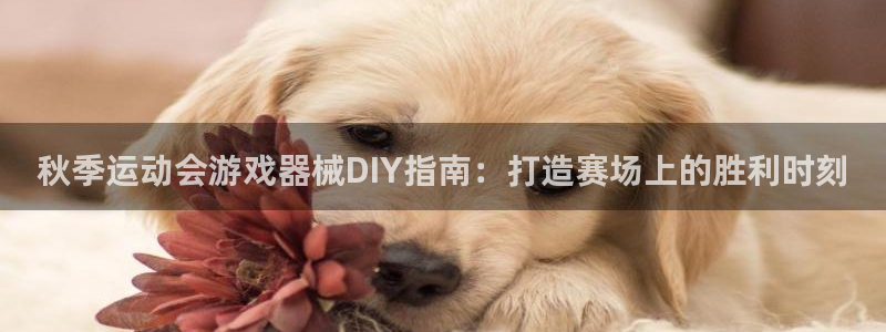 尊龙凯时不给提款：秋季运动会游戏器械DIY指南：打造