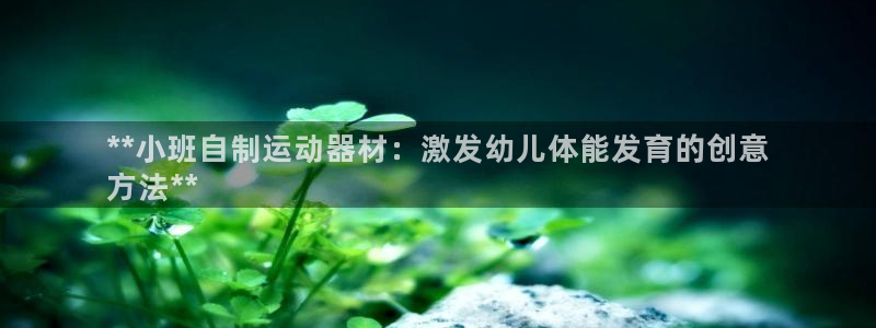 尊龙凯时用户名m：**小班自制运动器材：激发幼儿体能