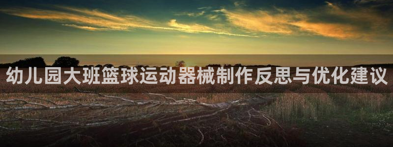 尊龙—人生就是博：幼儿园大班篮球运动器械制作反思与优