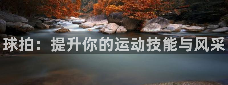 尊龙新版登录网址下载：球拍：提升你的运动技能与风采