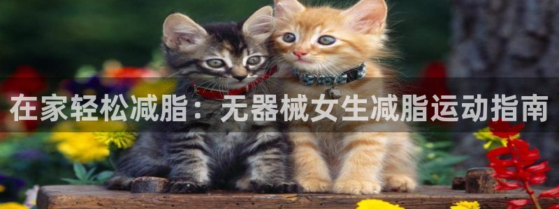凯时是AG优质运营商：在家轻松减脂：无器械女生减脂运