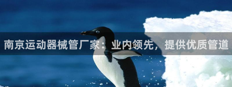 尊龙人生就是博ag旗舰厅：南京运动器械管厂家：业内领
