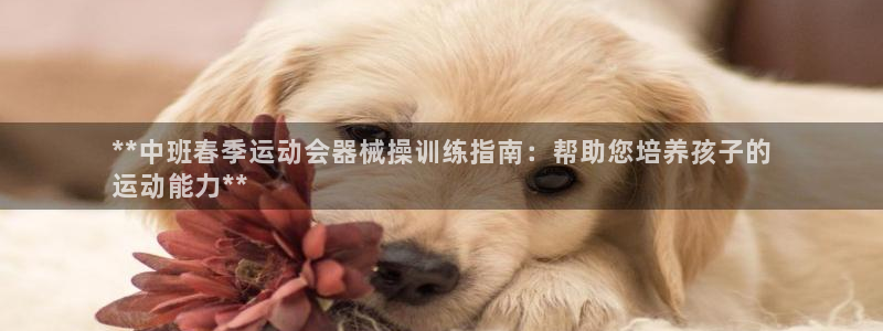 尊龙凯时代理官网入口：**中班春季运动会器械操训练指