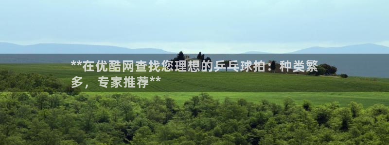 尊龙凯时ag旗舰：**在优酷网查找您理想的乒乓球拍：