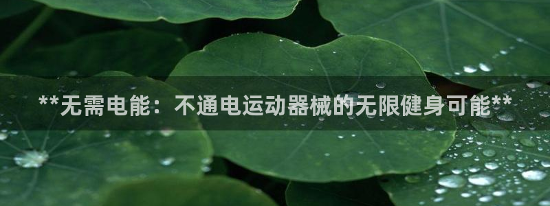 尊龙凯时这个平台怎么样：**无需电能：不通电运动器械