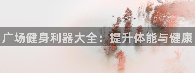 尊龙传奇英文怎么写：广场健身利器大全：提升体能与健康