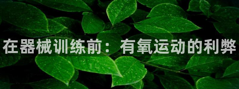 尊龙凯时平台怎么样：在器械训练前：有氧运动的利弊
