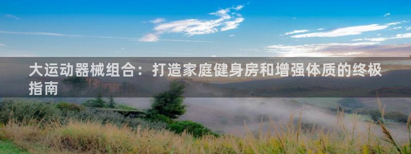 尊龙手机官方客户端下载：大运动器械组合：打造家庭健身