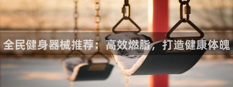 尊龙官网手机版：全民健身器械推荐：高效燃脂，打造健康