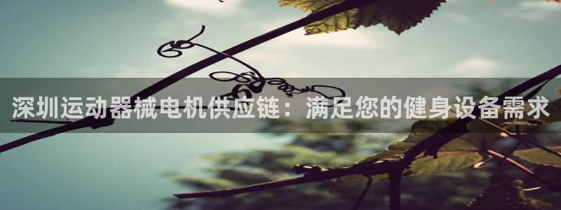 尊龙人生就是博旧版现金娱乐一下：深圳运动器械电机供应