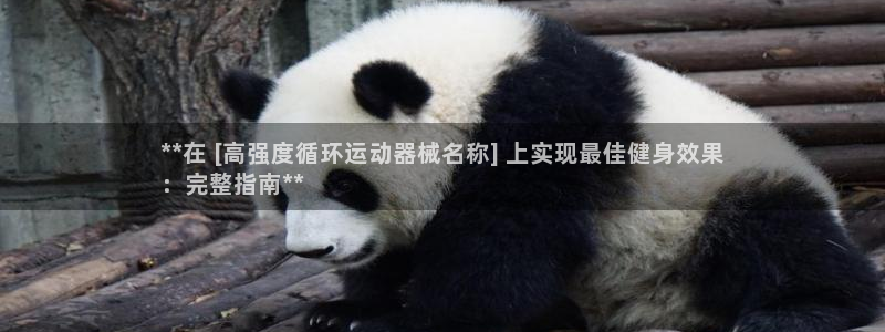 尊龙凯时产品系列：**在 [高强度循环运动器械名称]