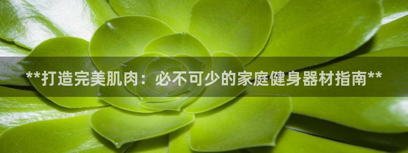 尊龙凯时是直营吗：**打造完美肌肉：必不可少的家庭健