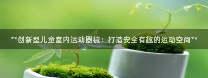 尊龙d88官网新版：**创新型儿童室内运动器械：打造