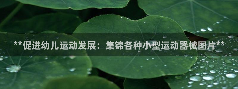 尊龙凯时怎么样没听说过：**促进幼儿运动发展：集锦各