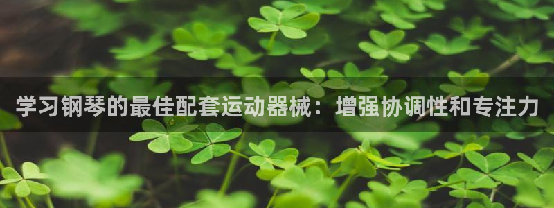 尊龙app登录不了：学习钢琴的最佳配套运动器械：增强