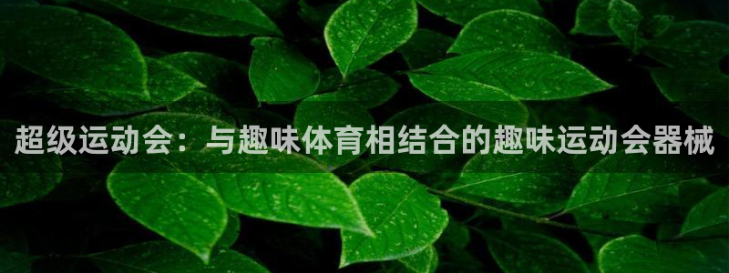 尊龙官网在哪里