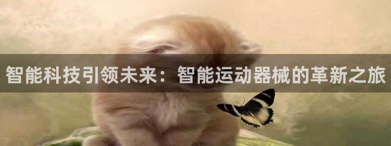 尊龙凯时是不是合法