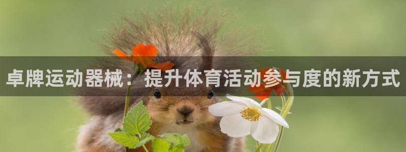 尊龙凯时正规吗
