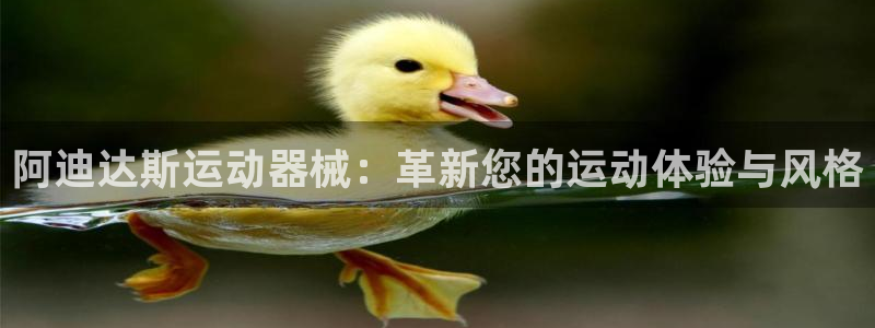 尊龙专访