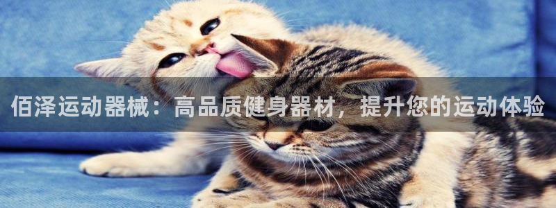 尊龙凯时美金能提取吗：佰泽运动器械：高品质健身器材，提升您的