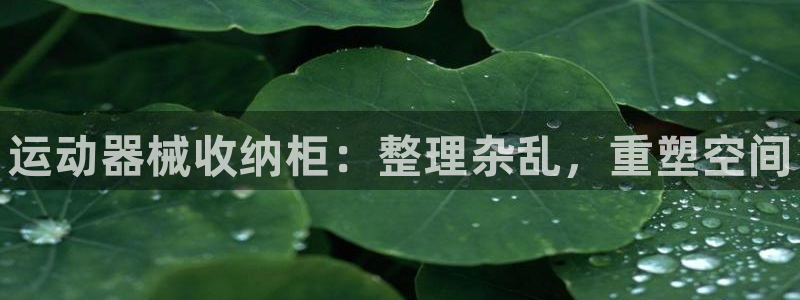 尊龙凯时是赌博嘛：运动器械收纳柜：整理杂乱，重塑空间