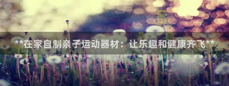 尊龙凯时赞助