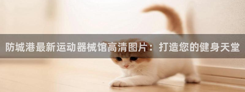 尊龙d88手机登录免费下载：防城港最新运动器械馆高清