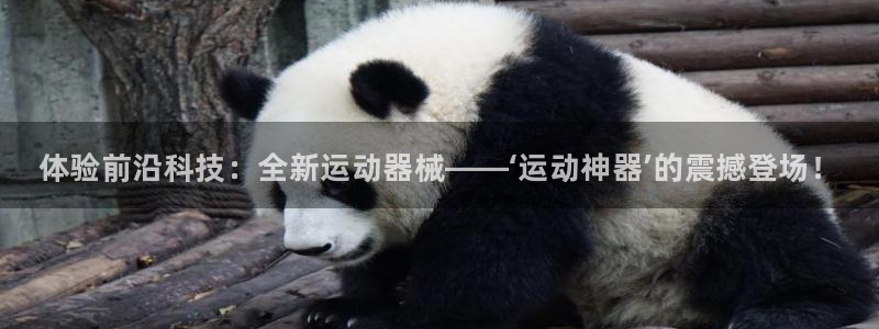 尊龙 下载