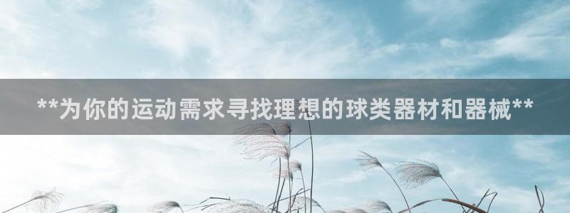 尊龙人生就是博送38：**为你的运动需求寻找理想的球