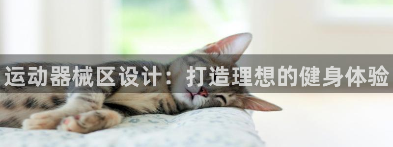 尊龙版末代皇帝：运动器械区设计：打造理想的健身体验