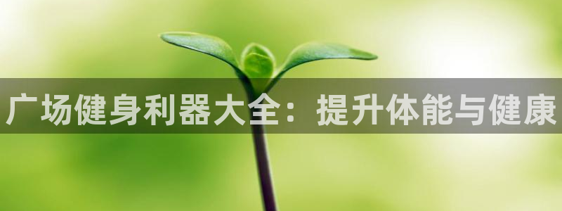 尊龙凯时代理能提出来不：广场健身利器大全：提升体能与