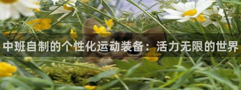 凯时ag旗舰厅登录