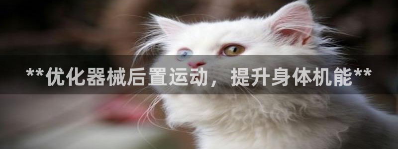 尊龙专访：**优化器械后置运动，提升身体机能**