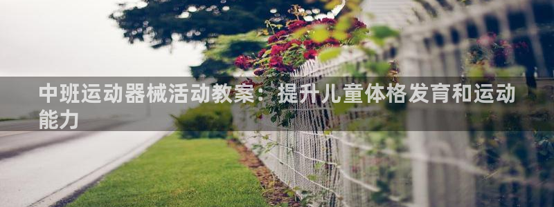 尊龙凯时可以提现吗：中班运动器械活动教案：提升儿童体