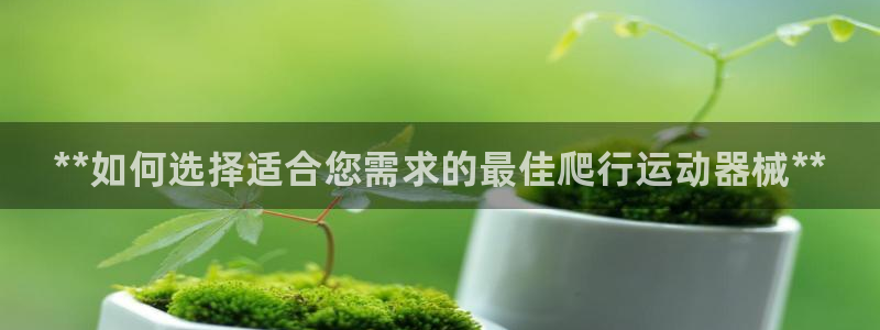 尊龙凯时国际:**如何选择适合您需求的最佳爬行运动器械**